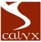 CALYX07